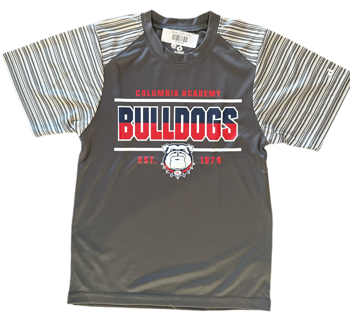 Short Sleeve Gray Performance