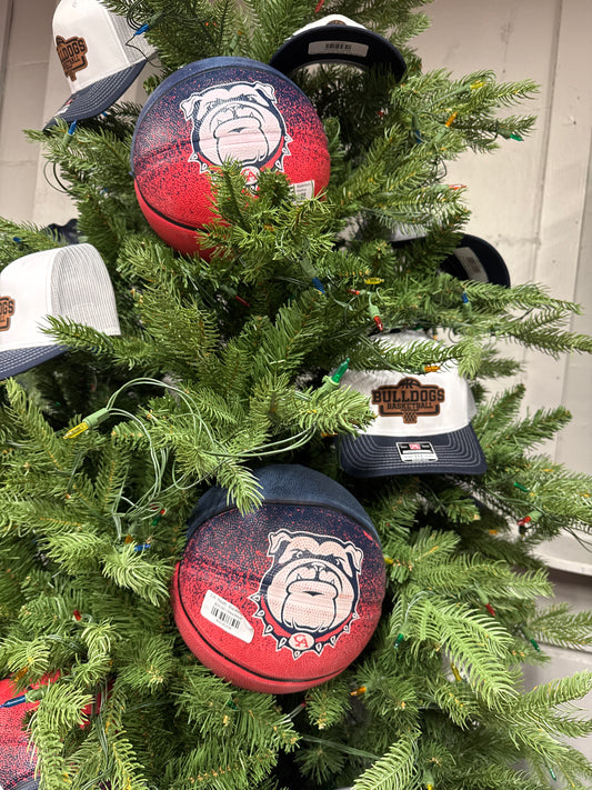 CA Youth  Basketballs