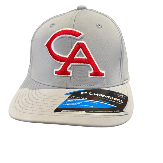 CA Fitted Hat | Silver
