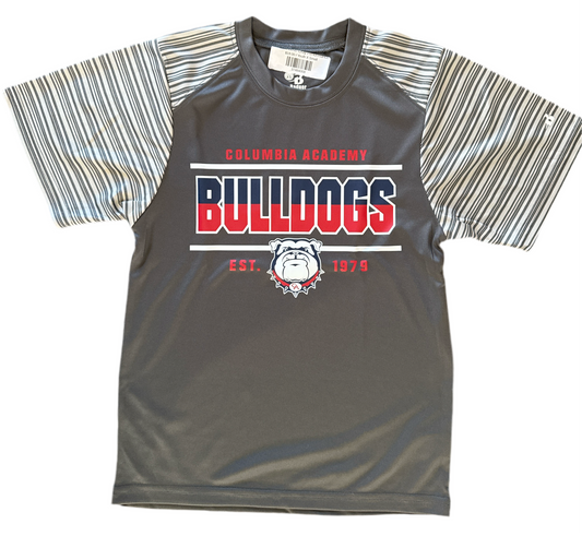 Short Sleeve Gray Performance