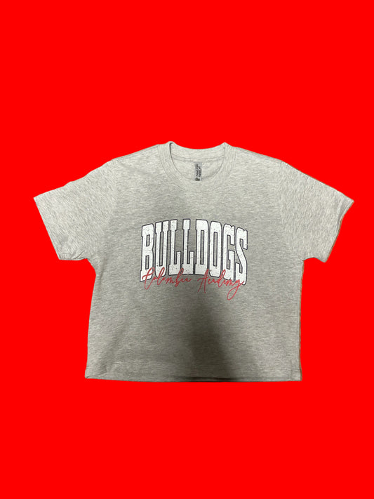 Ladies | Boxy Tee | Gray