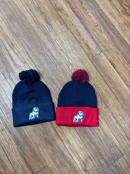Pom Pom Beanie